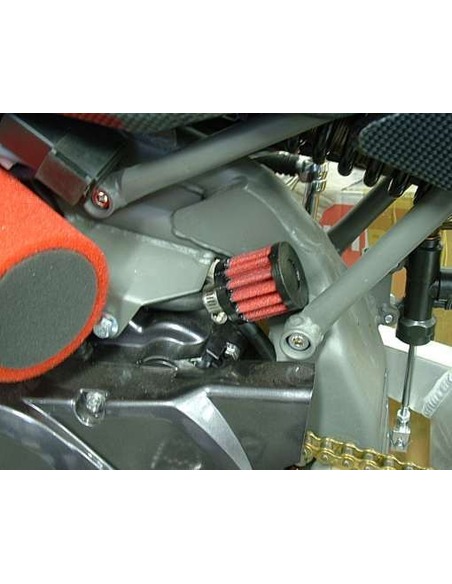 Filtro ventilación del motor